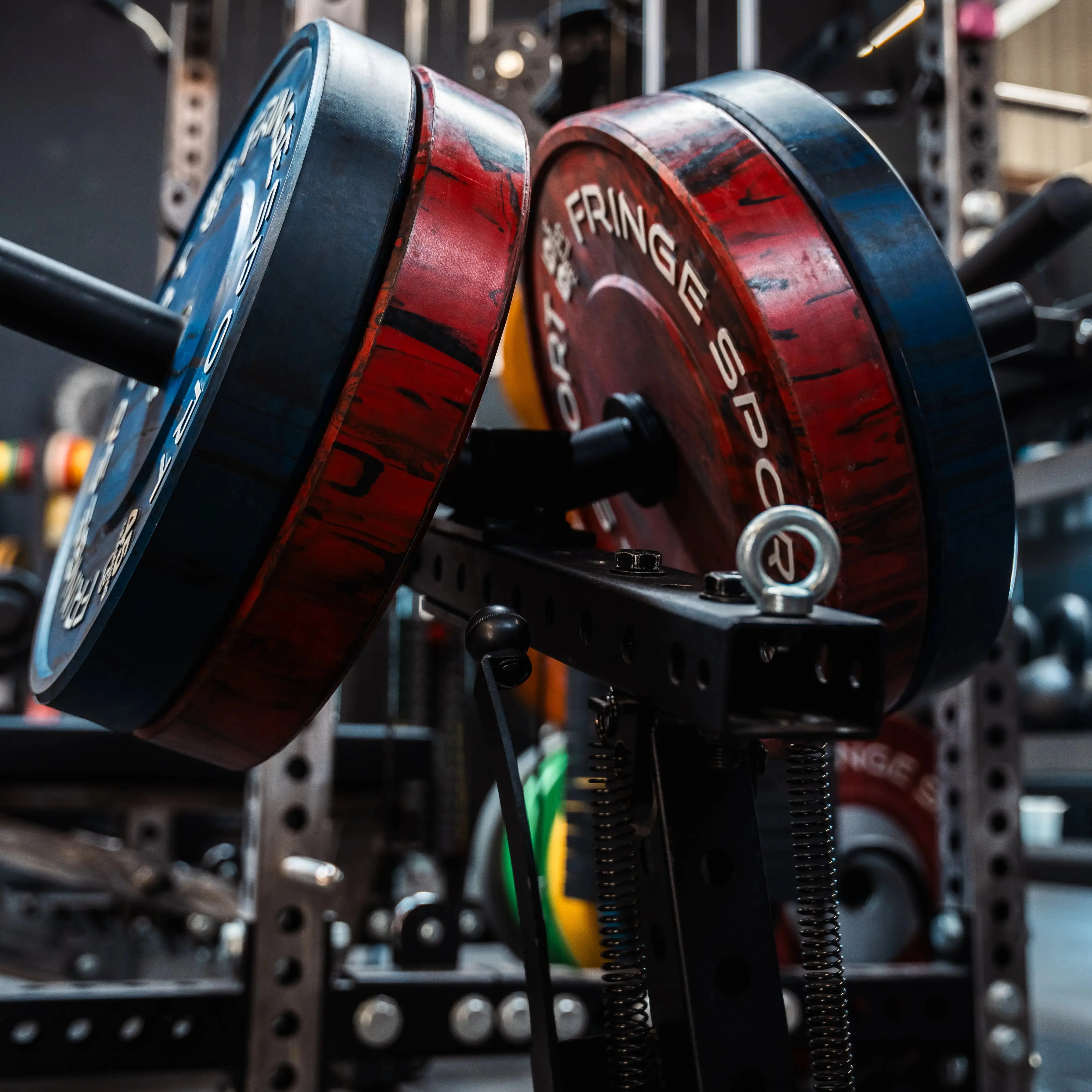 Dual Mounted Weight Horns - Image 9