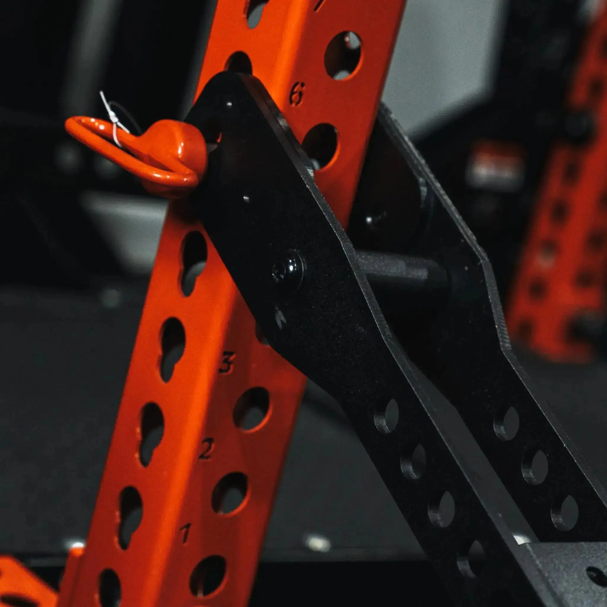 Mammoth Belt Squat (With Free Belt) - Image 14