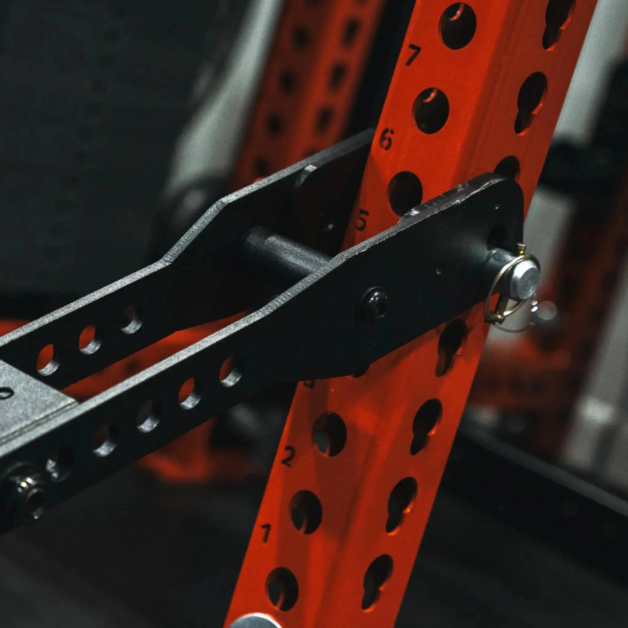 Mammoth Belt Squat (With Free Belt) - Image 15
