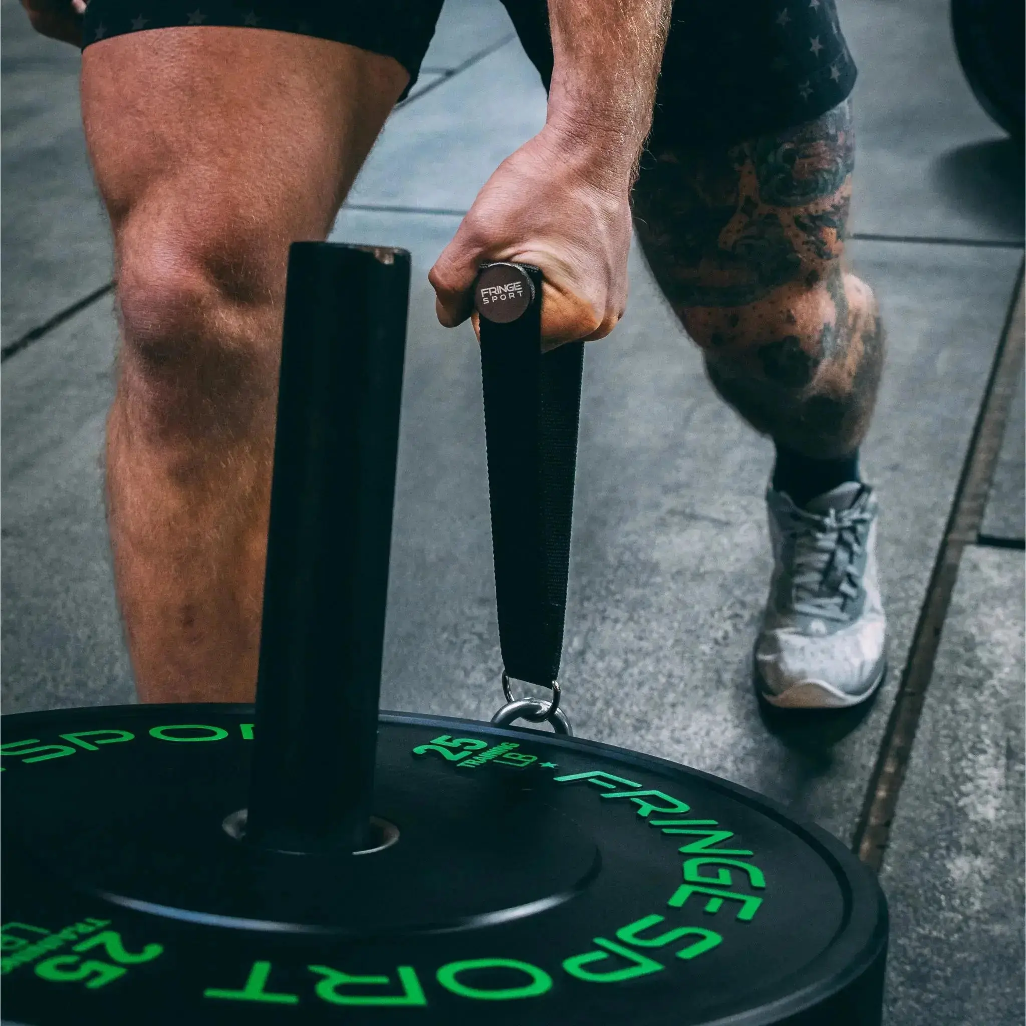 Mammoth Belt Squat (With Free Belt) - Image 22
