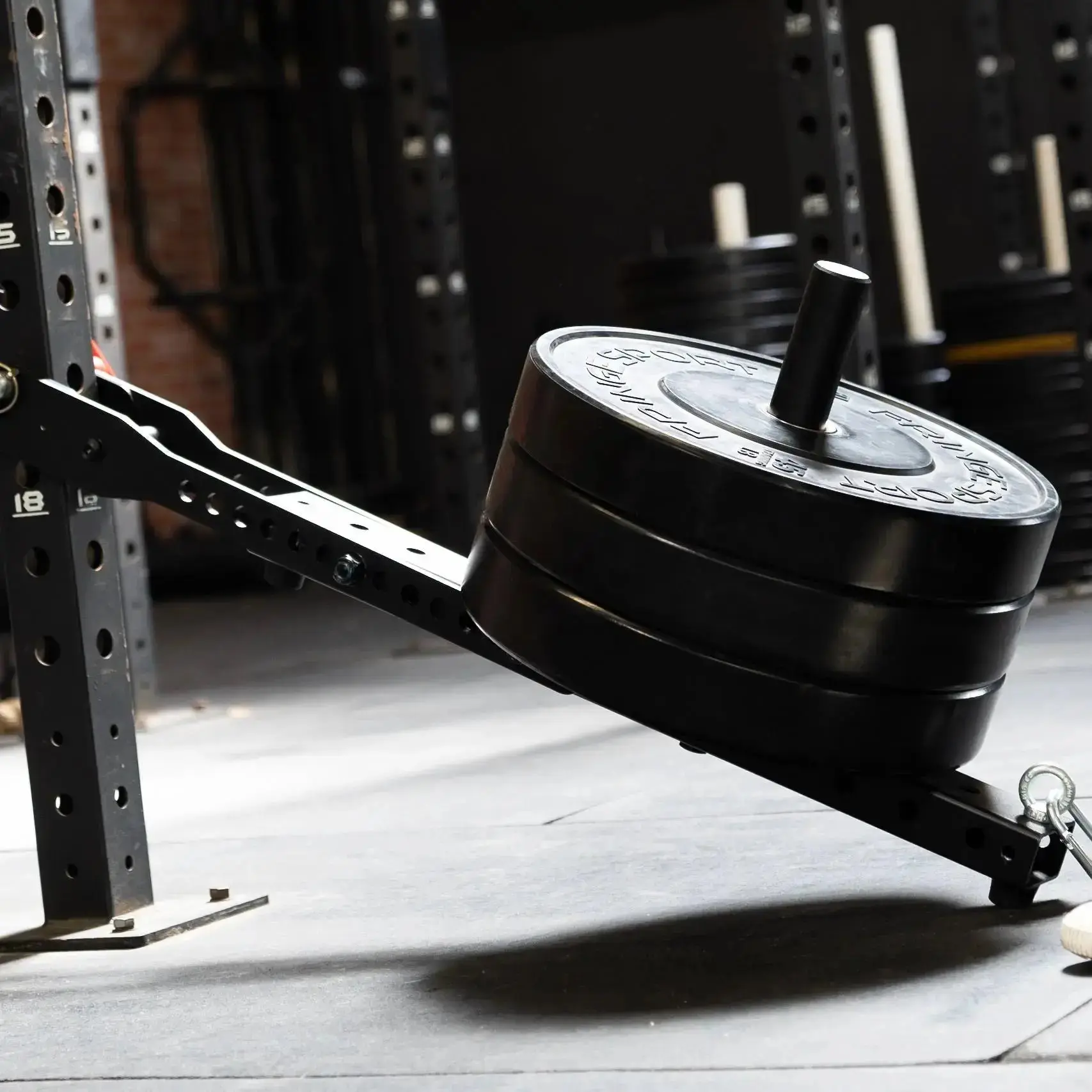 Mammoth Belt Squat (With Free Belt) - Image 23