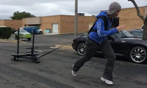Commercial Sled - Image 6