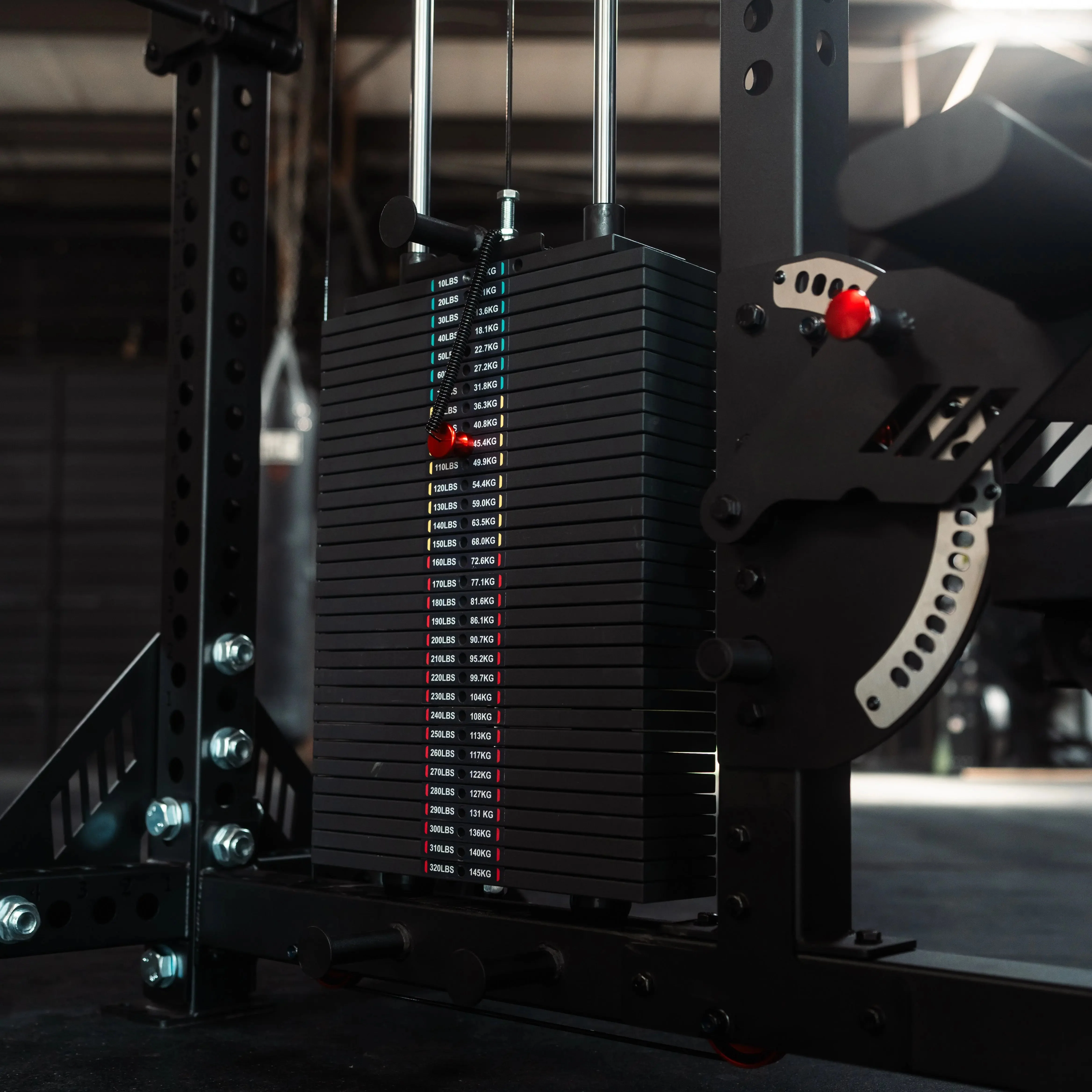 The Walrus: Single Tower Low Row & Lat Pulldown - Image 10