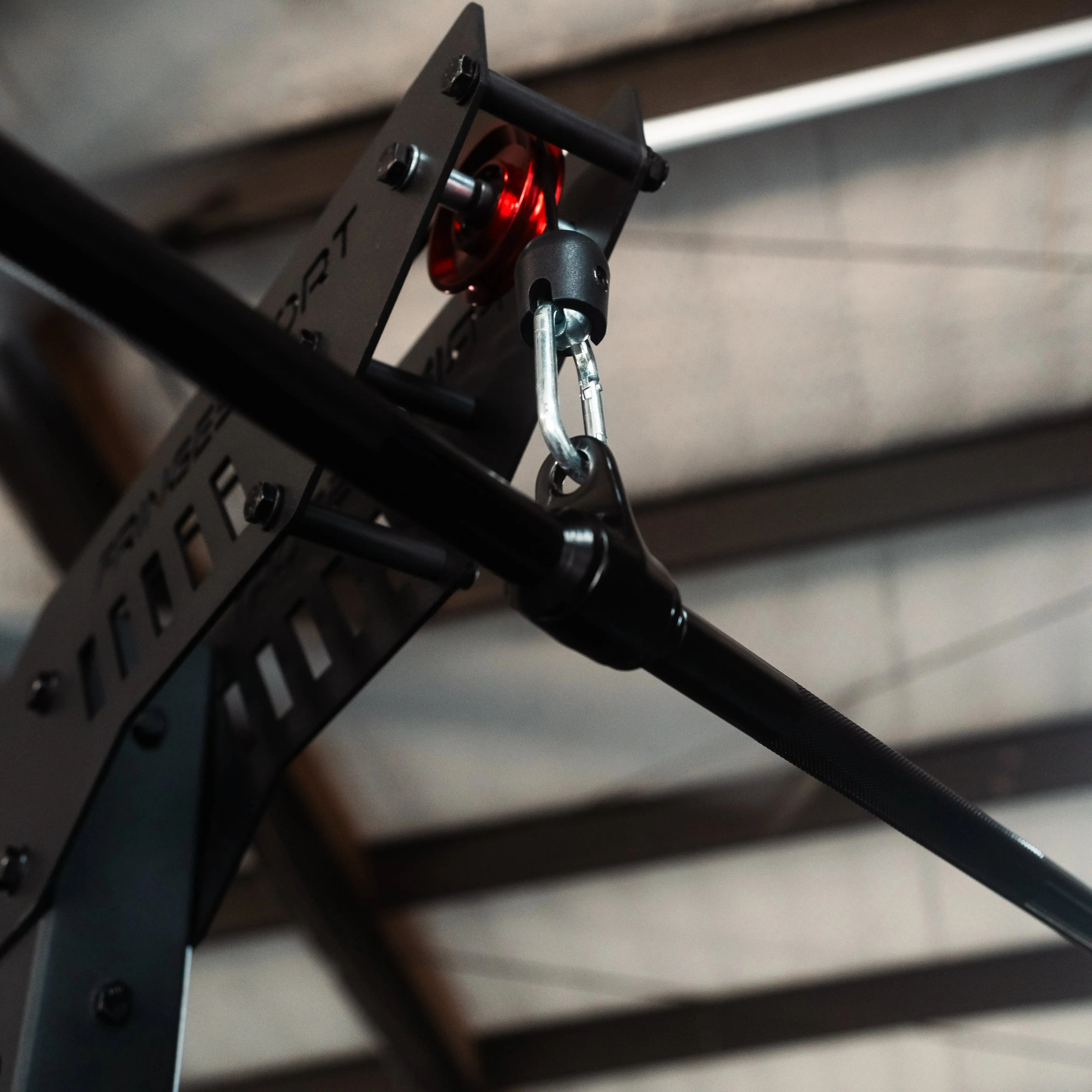 The Walrus: Single Tower Low Row & Lat Pulldown - Image 4